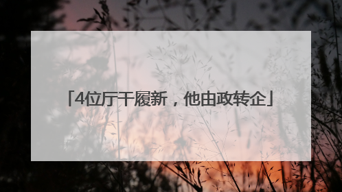4位厅干履新，他由政转企