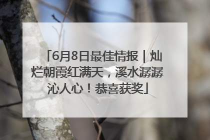 6月8日最佳情报｜灿烂朝霞红满天，溪水潺潺沁人心！恭喜获奖