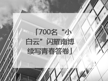 700名“小白云”闪耀南博续写青春答卷