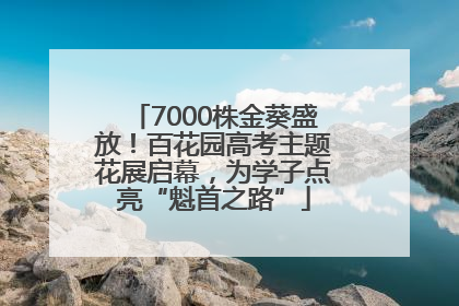 7000株金葵盛放！百花园高考主题花展启幕，为学子点亮“魁首之路”