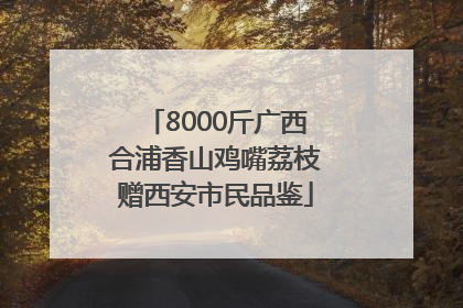 8000斤广西合浦香山鸡嘴荔枝赠西安市民品鉴