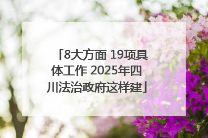 8大方面 19项具体工作 2025年四川法治政府这样建