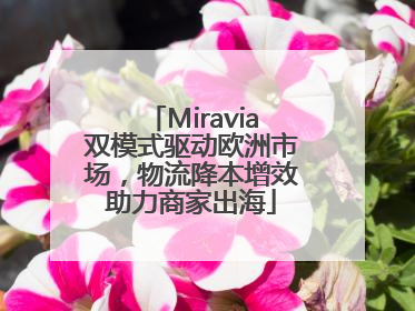 Miravia双模式驱动欧洲市场，物流降本增效助力商家出海