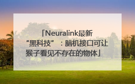 Neuralink最新“黑科技”：脑机接口可让猴子看见不存在的物体